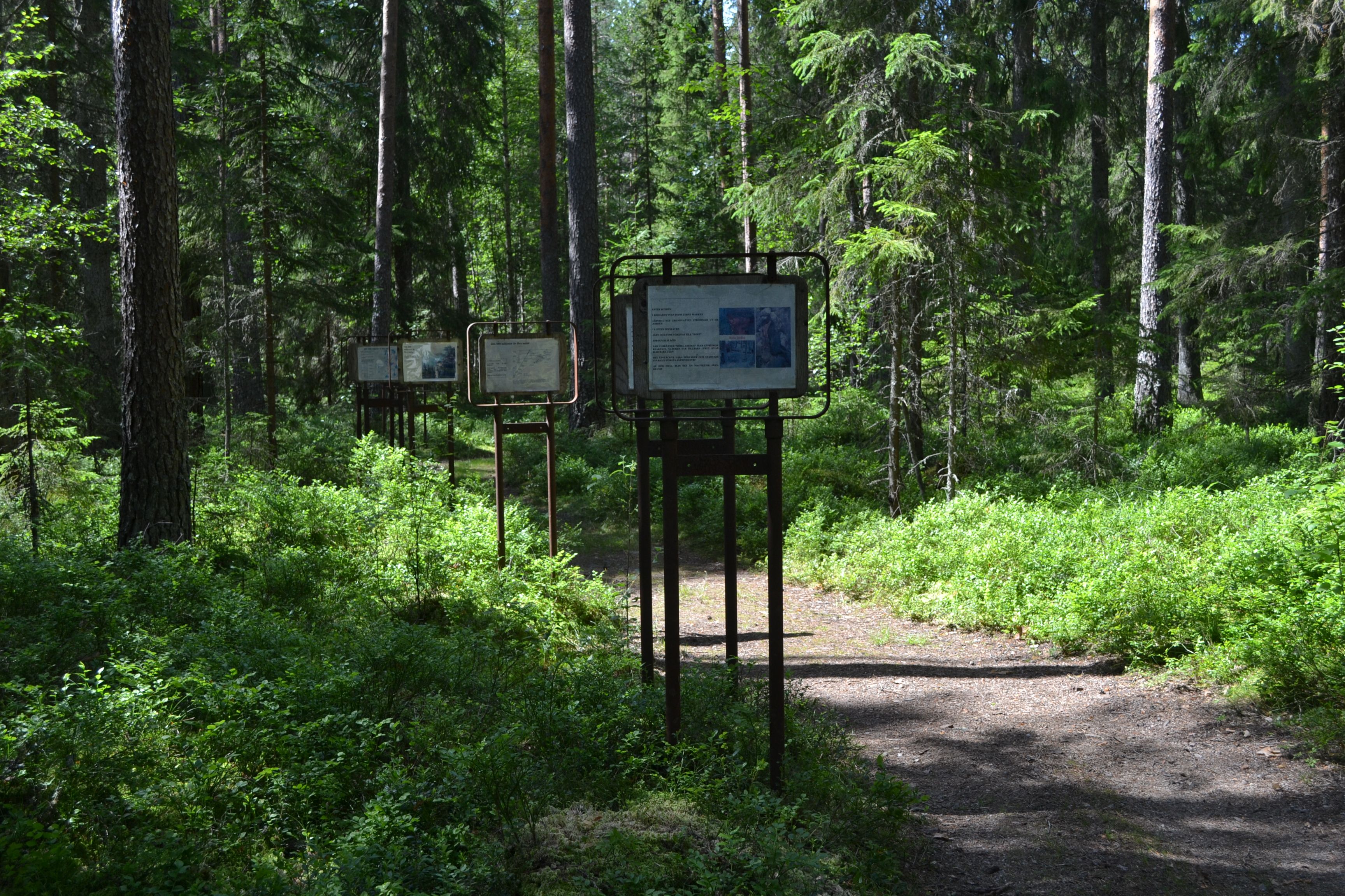 Informationsskyltar längs med stigen till Röda jorden