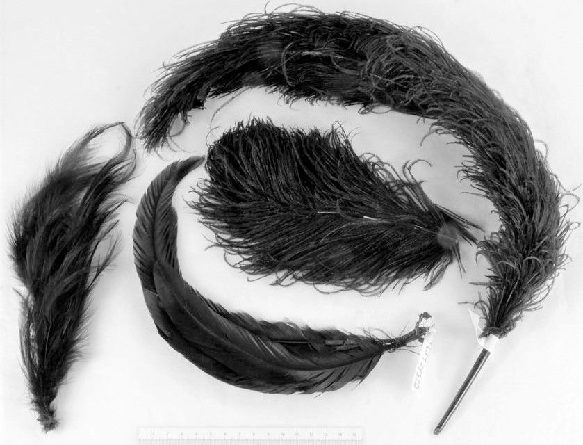 4 st plymer av svarta strutsfjädrar