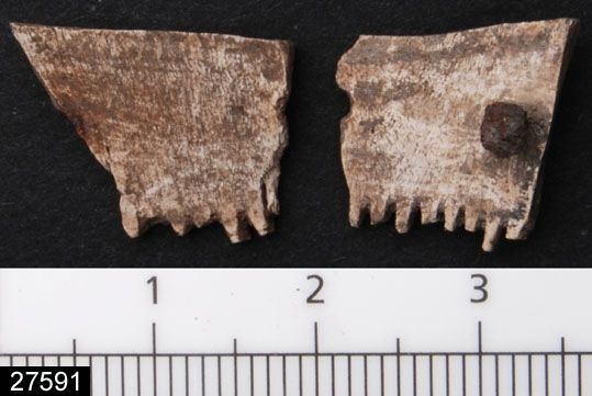 Fragment av benkam