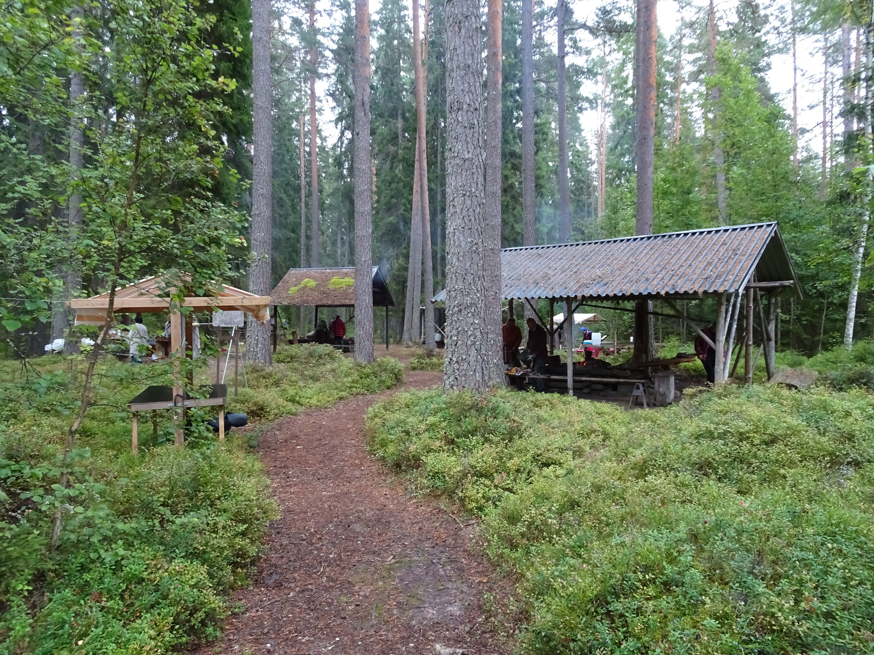 Bilden visar en öppning i skogen. Där ser man marknadsstånd.